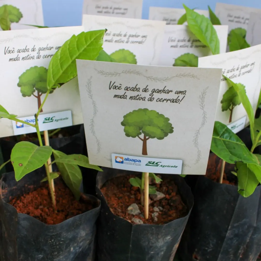 educação ambiental infantil